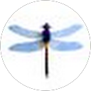 muriel van der wees profile picture